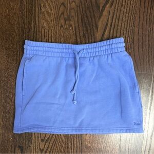 Aritzia Blue Mini Skirt